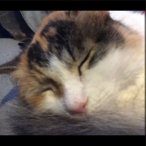 Meet your Posher, Mandie